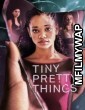 Tiny Pretty Things (2020) Hindi Dubbed Season 1 Complete Show