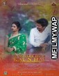 Tumhare Hum Kaun Hai A Lovearranged Story (2022) Bollywood Hindi Movie